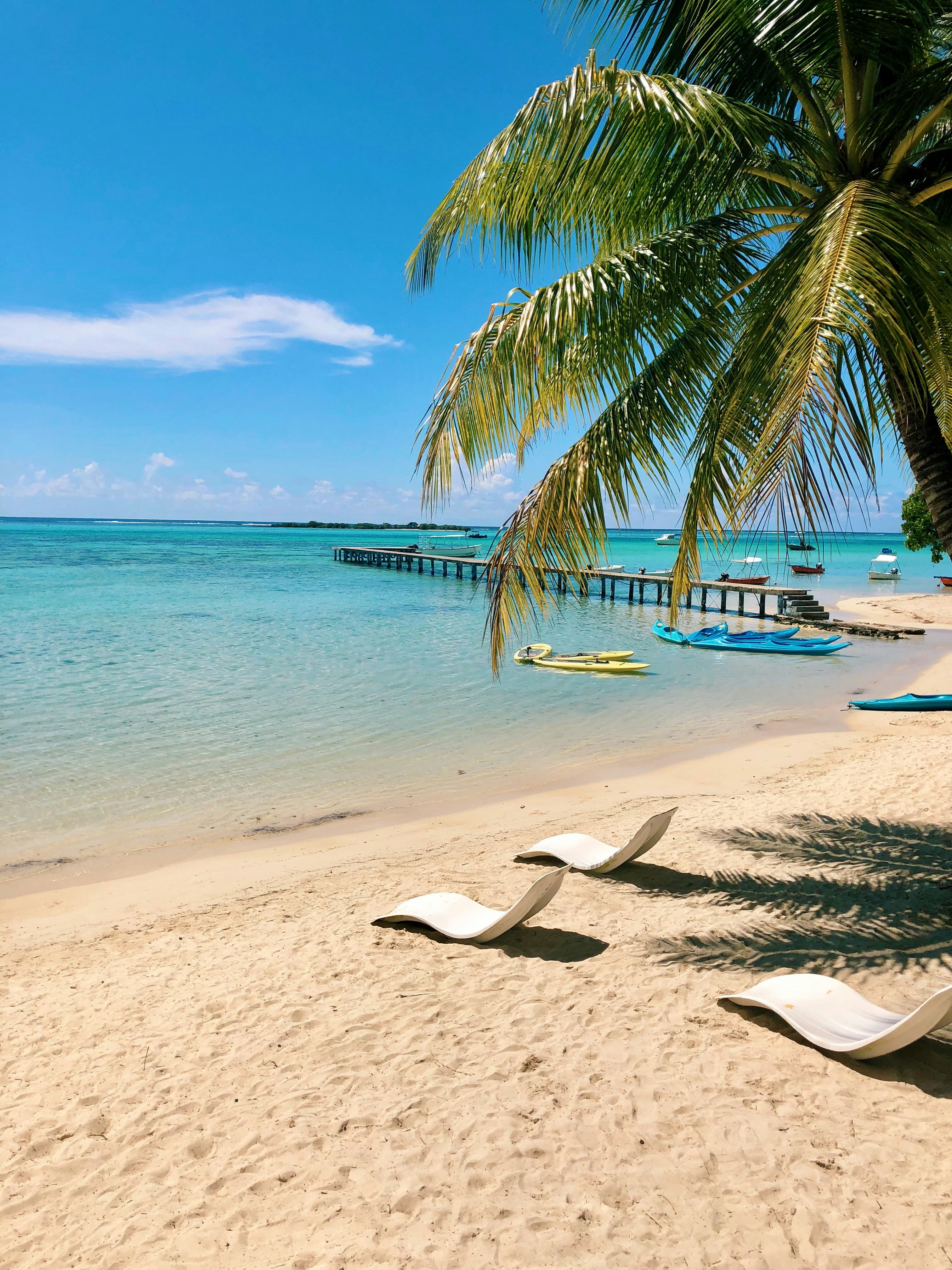 beachfront picture with modern chairs