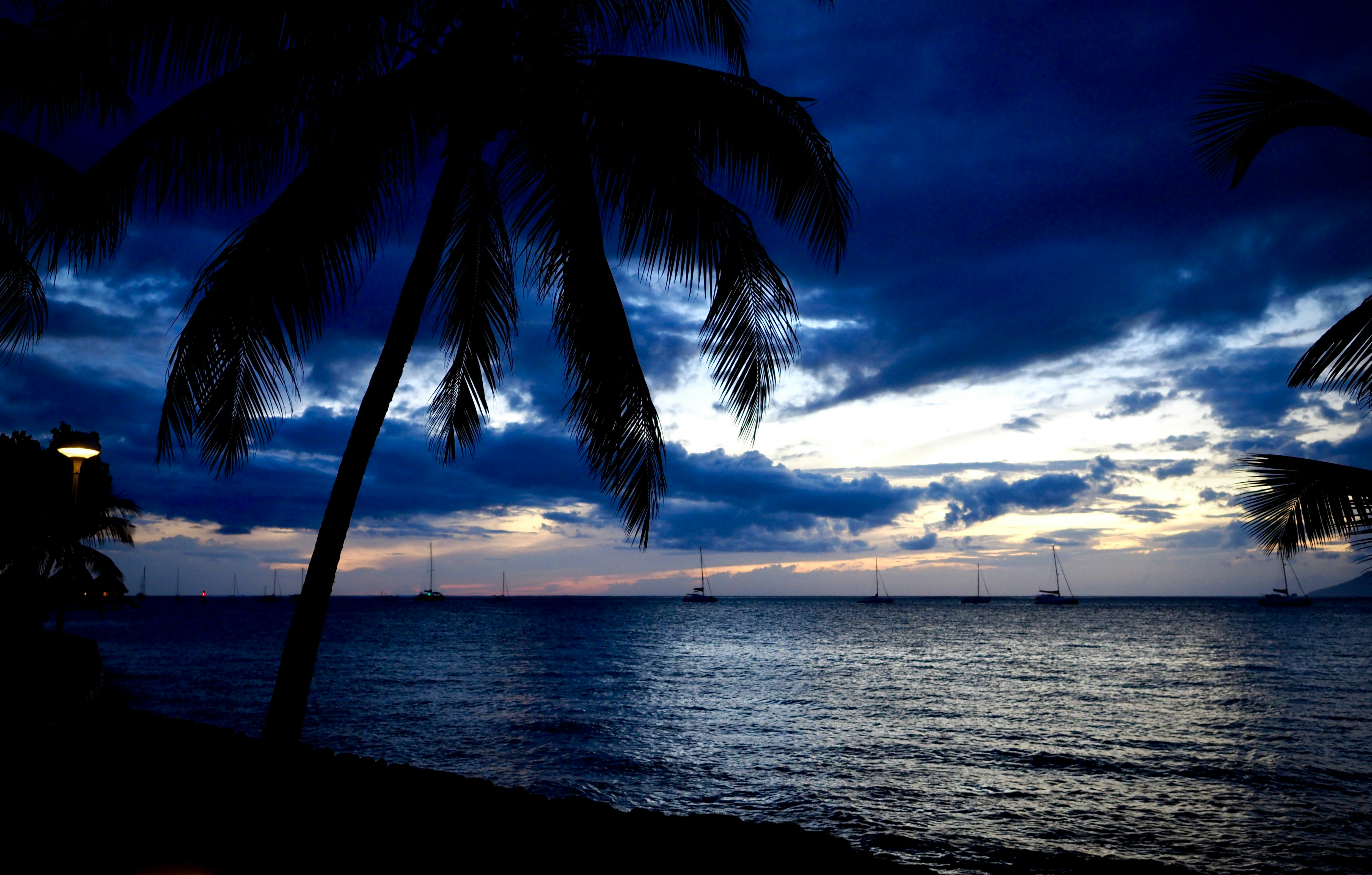 beach with sunset